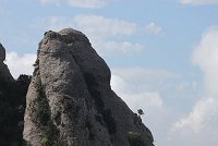 Ampliar la fotografia
